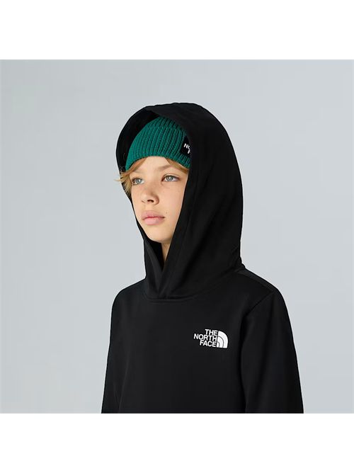 Felpa con cappuccio NSE Box da ragazzi THE NORTH FACE | NF0A89H9/JK31